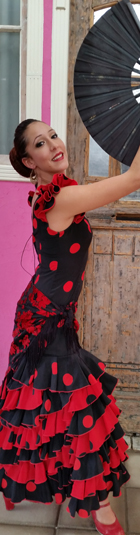 Spaanse flamenco dans 